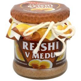 Terezia Company Reishi v medu 250 g
