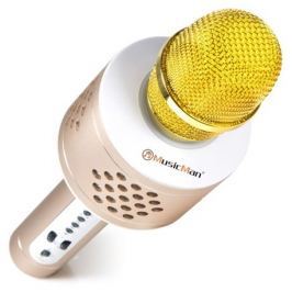 Technaxx Přenosný reproduktor MusicMan PRO BT-X35 s karaoke mikrofonem, zlatý/st