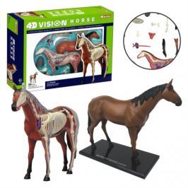 4D MASTER Anatomický model 4D Kůň 26 dílků