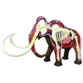4D MASTER 4D Model - Mamut