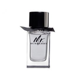 Burberry Mr. EDT 100 ml M