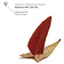 Bach-herreweghe - Motteten Bwv225-230 LP