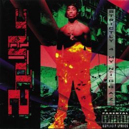 2Pac : Strictly 4 My N.I.G.G.A.Z. LP