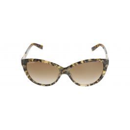 Kittie Sluneční brýle DSQUARED2 | Hnědá | Dámské | UNI